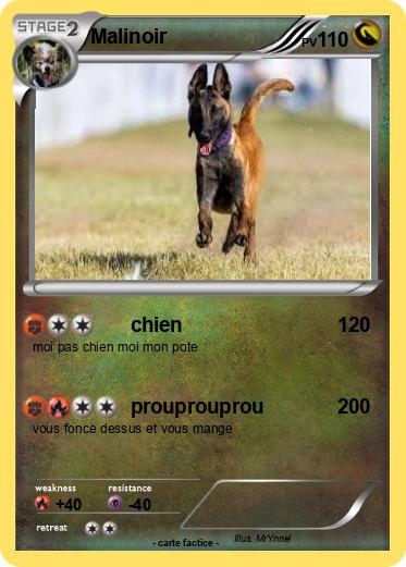 Pokemon Malinoir