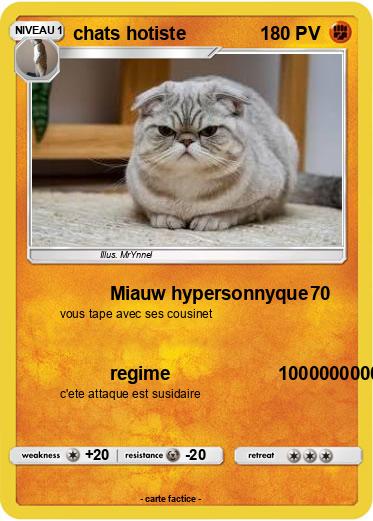 Pokemon chats hotiste