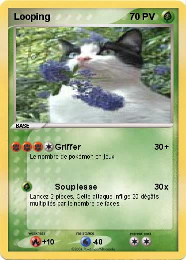 Pokemon Looping