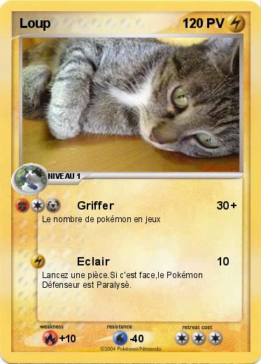 Pokemon Loup