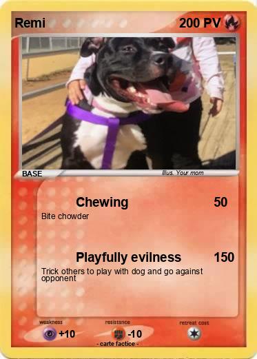 Pokemon Remi