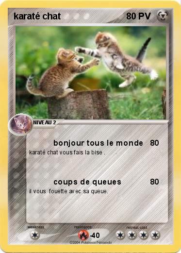 Pokemon karaté chat