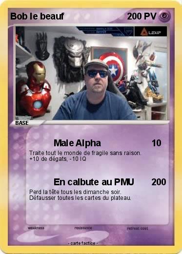 Pokemon Bob le beauf