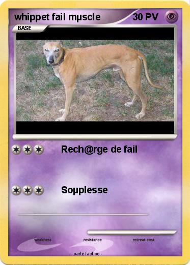 Pokemon whippet fail mµscle