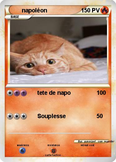 Pokemon napoléon