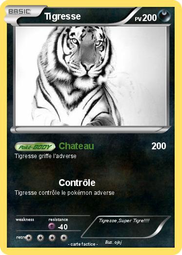 Pokemon Tigresse