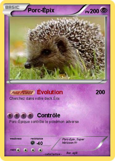 Pokemon Porc-Épix