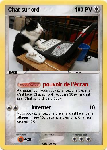 Pokemon Chat sur ordi
