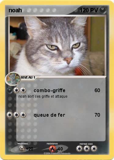Pokemon noah