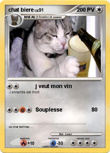 Pokemon chat biere