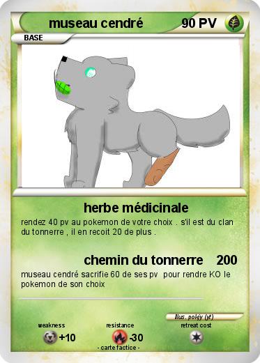 Pokemon museau cendré