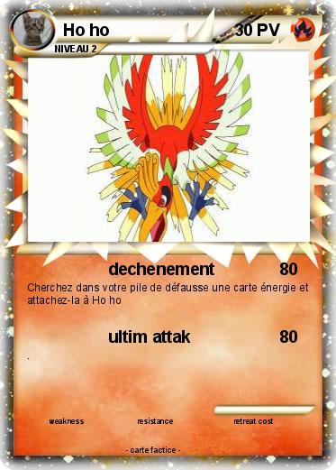 Pokemon Ho ho