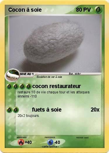 Pokemon Cocon à soie