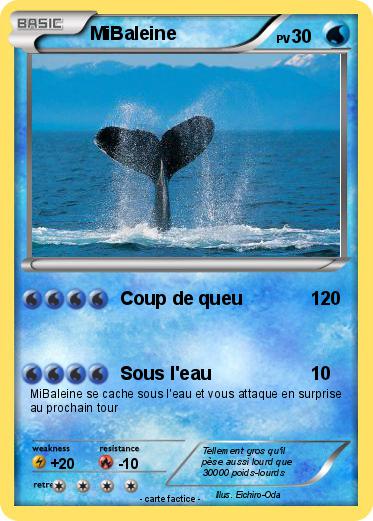 Pokemon MiBaleine