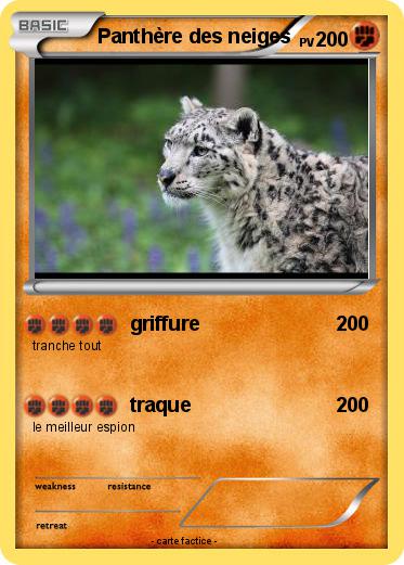 Pokemon Panthère des neiges