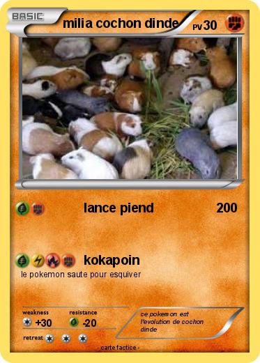 Pokemon milia cochon dinde