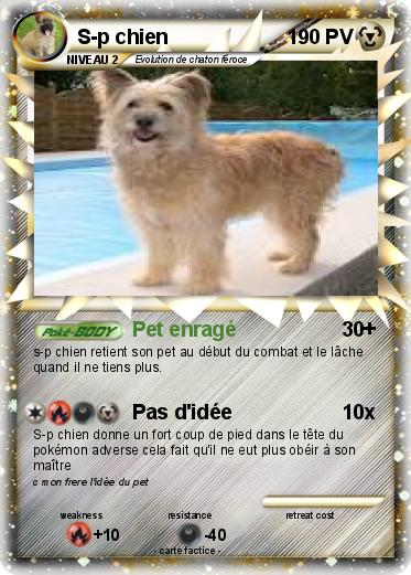 Pokemon S-p chien