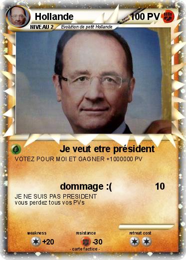 Pokemon Hollande
