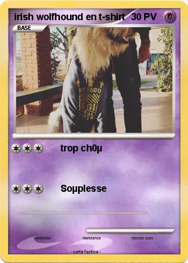 Pokemon irish wolfhound en t-shirt