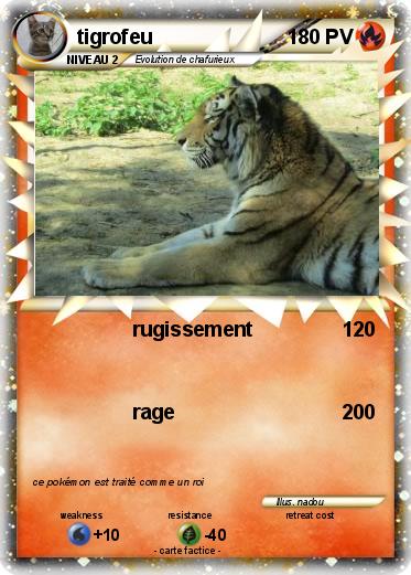 Pokemon tigrofeu
