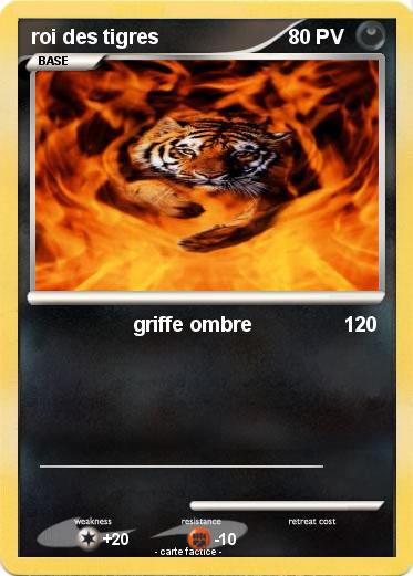 Pokemon roi des tigres