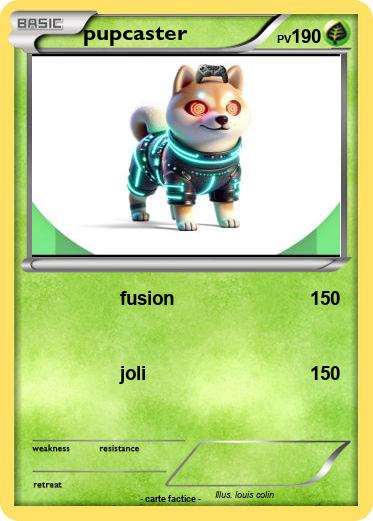 Pokemon pupcaster