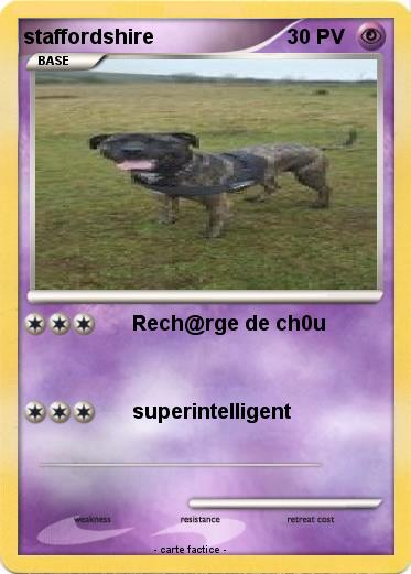 Pokemon staffordshire