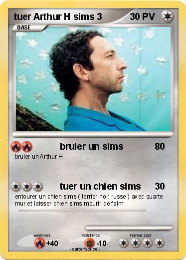 Pokemon tuer Arthur H sims 3