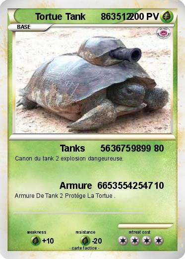 Pokemon Tortue Tank      863512