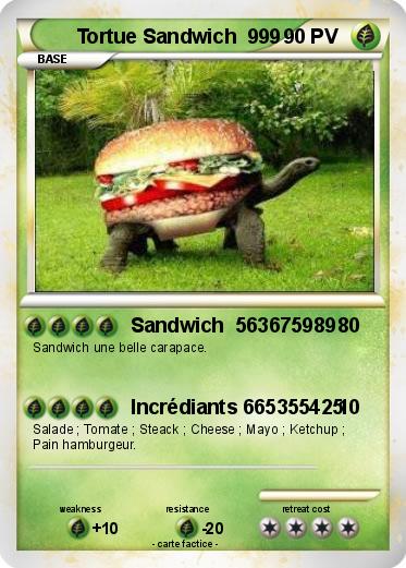 Pokemon Tortue Sandwich  999