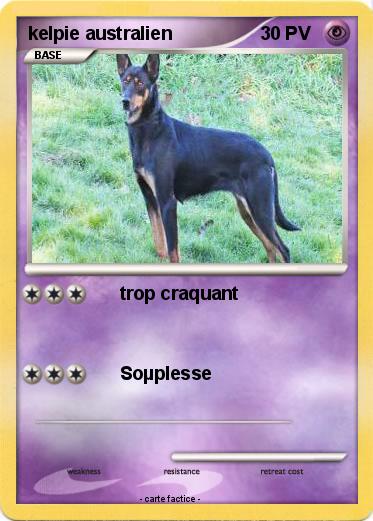 Pokemon kelpie australien