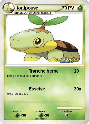 Pokemon tortipouse