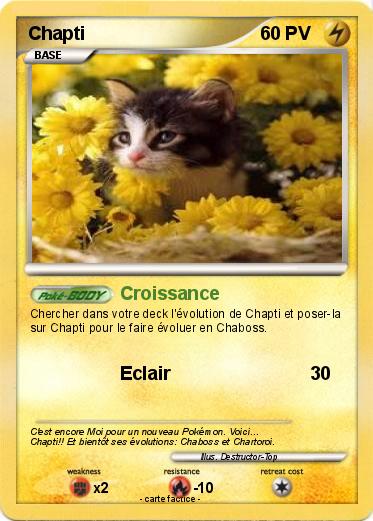 Pokemon Chapti