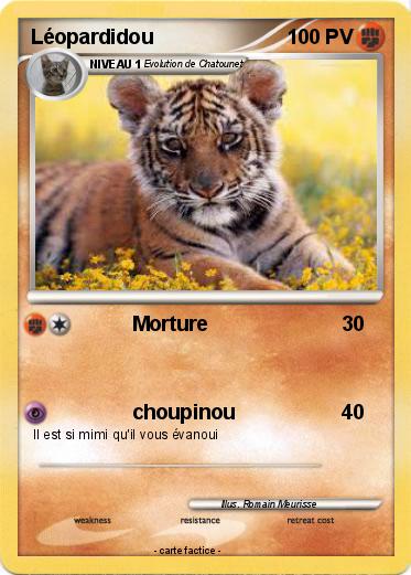 Pokemon Léopardidou