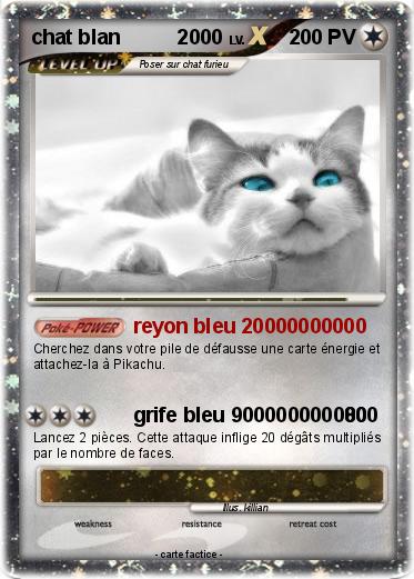 Pokemon chat blan          2000