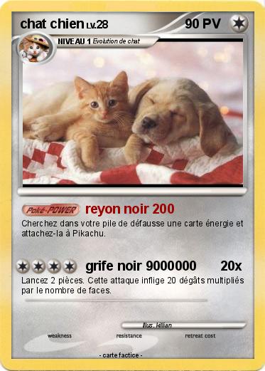 Pokemon chat chien
