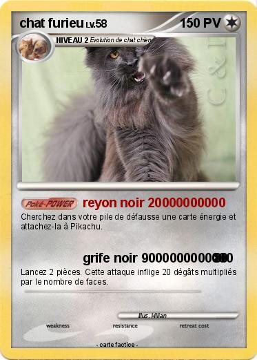 Pokemon chat furieu