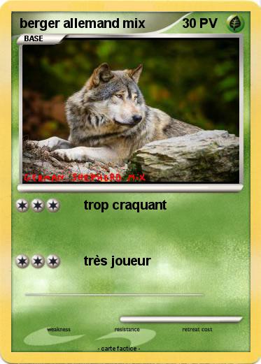 Pokemon berger allemand mix