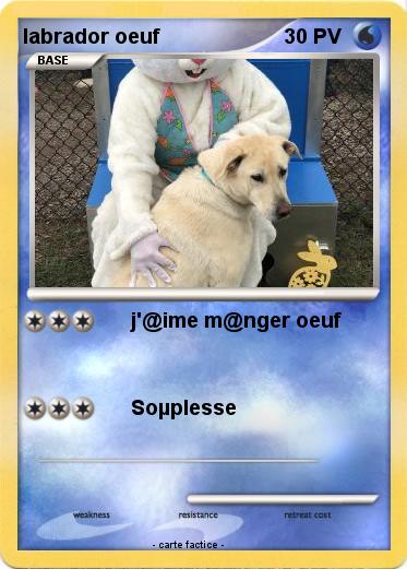 Pokemon labrador oeuf