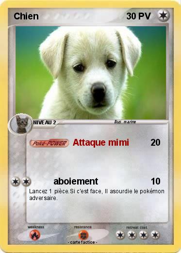 Pokemon Chien