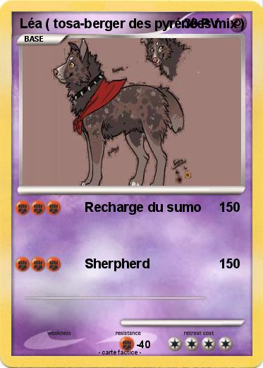 Pokemon Léa ( tosa-berger des pyrénées mix )