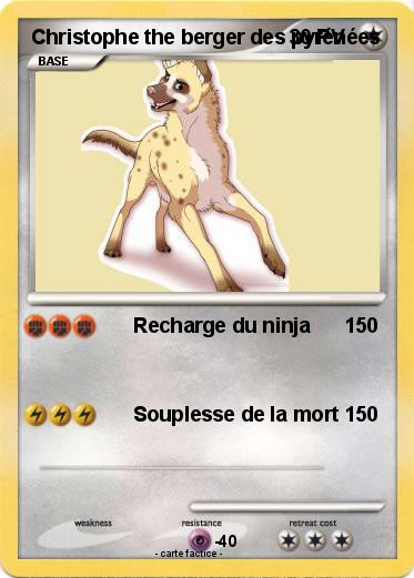 Pokemon Christophe the berger des pyrénées