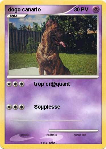 Pokemon dogo canario