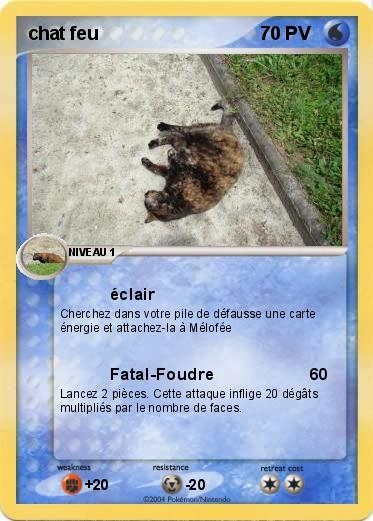 Pokemon chat feu