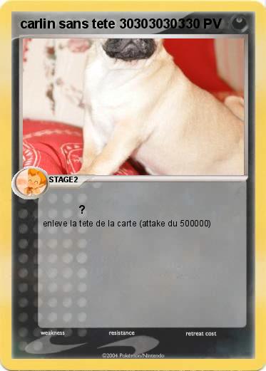 Pokemon carlin sans tete 303030303