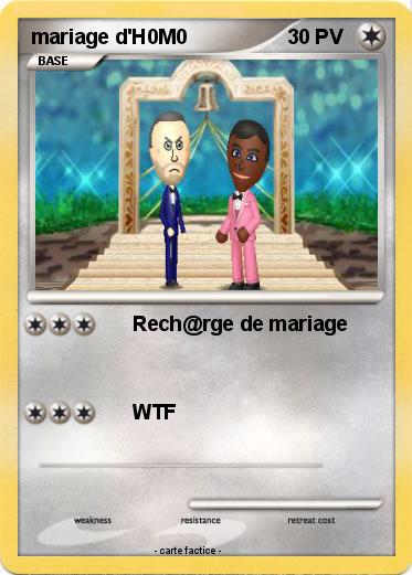 Pokemon mariage d'H0M0