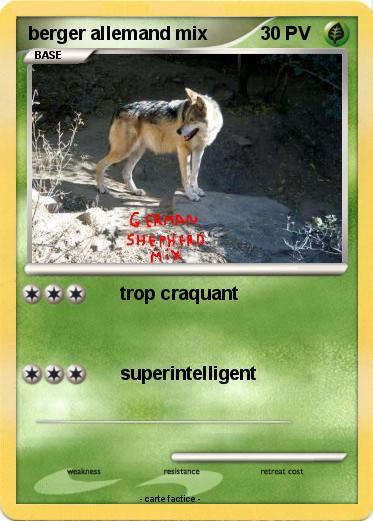 Pokemon berger allemand mix