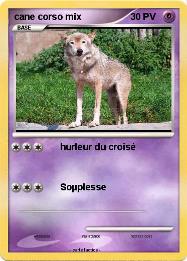 Pokemon cane corso mix