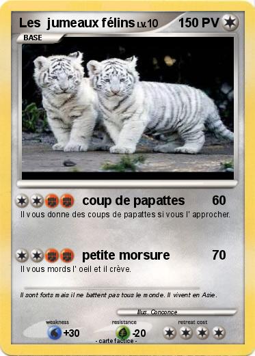 Pokemon Les  jumeaux félins