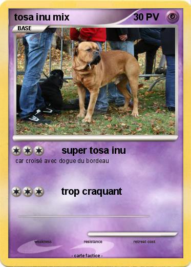 Pokemon tosa inu mix